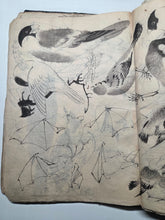Load image into Gallery viewer, A Literati Artist’s Sketch Book, Circa 1800-1840. 56 Pages of Heavily Detailed Ink Wash Drawings, with Pasted and Tipped in Pieces. Many Pages on Birds and Ornithology