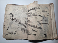 Load image into Gallery viewer, A Literati Artist’s Sketch Book, Circa 1800-1840. 56 Pages of Heavily Detailed Ink Wash Drawings, with Pasted and Tipped in Pieces. Many Pages on Birds and Ornithology