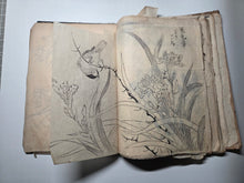 Load image into Gallery viewer, A Literati Artist’s Sketch Book, Circa 1800-1840. 56 Pages of Heavily Detailed Ink Wash Drawings, with Pasted and Tipped in Pieces. Many Pages on Birds and Ornithology