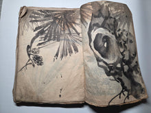 Load image into Gallery viewer, Kacho-en-do Hon? (Flower and Bird Gardens), Circa 1800-1840. Over 100 Pages of Heavily Detailed Ink Wash Drawings, with Pasted and Tipped in Bonus Examples. Landscapes, Animals, Floral Gatherings and Much More