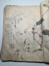 Load image into Gallery viewer, Kacho-en-do Hon? (Flower and Bird Gardens), Circa 1800-1840. Over 100 Pages of Heavily Detailed Ink Wash Drawings, with Pasted and Tipped in Bonus Examples. Landscapes, Animals, Floral Gatherings and Much More