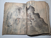 Load image into Gallery viewer, Kacho-en-do Hon? (Flower and Bird Gardens), Circa 1800-1840. Over 100 Pages of Heavily Detailed Ink Wash Drawings, with Pasted and Tipped in Bonus Examples. Landscapes, Animals, Floral Gatherings and Much More