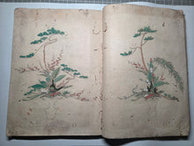 Load image into Gallery viewer, Shinsen Heika Zui (New Selection of Illustrated Flower Arrangement), Circa 1750-1800. A Mid to Late Edo Period Manuscript Copy of Yamanaka’s Work on Ikebana School of Flower Arrangment, with 100 Hand Painted, Full-Page Illustrations