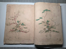 Load image into Gallery viewer, Shinsen Heika Zui (New Selection of Illustrated Flower Arrangement), Circa 1750-1800. A Mid to Late Edo Period Manuscript Copy of Yamanaka’s Work on Ikebana School of Flower Arrangment, with 100 Hand Painted, Full-Page Illustrations