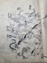 Load image into Gallery viewer, Tōryū Shin Hinagata? (New Toryu Model), Circa 1800-1850. A Manuscript Sketchbook of Animals and Mythical Beasts, with Numerous Creatures Beautifully Inked, in 34 Pages