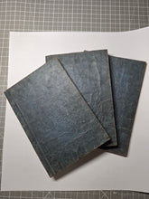 Load image into Gallery viewer, Daikyougoakuzue (Illustrated Guide to the Five Evils of the Great Sutra), 1848. On Impurities and the Afterlife, Vividly Illustrated, with a Complete Kusozu Cycle
