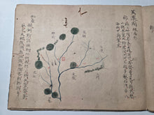 Load image into Gallery viewer, Nipponkoku Chizu (Map of Japan), Circa 1800-1868. An Original Late Edo Period Manuscript Atlas of Japan, in 36 Full Page Maps, and Providing Brief Descriptions for Tourists