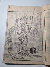Load image into Gallery viewer, Yamato Meisho Zue (Illustrated Guide to Famous Places in Yamato), 1791. Volume 3 of 7, with 62 Pages of Full-Page Woodblock Illustrations Depicting Various Temples, Religious Sites, and Landscapes