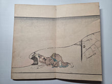 Load image into Gallery viewer, Kyosai Hyakki Gadan (Kyosai's Pictures of One Hundred Demons), 1895. The Third Printed Edition of this Night Parade of Demons, with 50 Woodblock Illustrations in Color