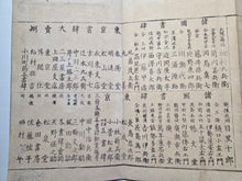 Load image into Gallery viewer, Kyosai Hyakki Gadan (Kyosai's Pictures of One Hundred Demons), 1895. The Third Printed Edition of this Night Parade of Demons, with 50 Woodblock Illustrations in Color