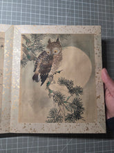 Load image into Gallery viewer, An Exemplary Silk Painting Album of Three Kano-School and Associated Artists, Circa 1670-1850. 30 Magnificent Silk Paintings of Vivid Detail and Color, with Heavily Detailed Bird Paintings