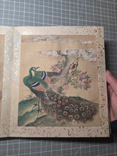 Load image into Gallery viewer, An Exemplary Silk Painting Album of Three Kano-School and Associated Artists, Circa 1670-1850. 30 Magnificent Silk Paintings of Vivid Detail and Color, with Heavily Detailed Bird Paintings