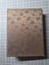 Load image into Gallery viewer, A Compiled Painting Album of Different Osaka Artists, Assembled Circa 1950. Compiled works from the Meiji to Showa Periods (Circa 1900-1950), with 13 Double Paged Paintings including Ink Wash Examples, and 1 Double Page of Fine Calligraphy