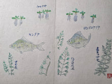 Load image into Gallery viewer, A Painting Album of Watercolor Botany and Animals, Circa 1900-1950. Ten Pages of Watercolor Paintings, and Four Pages of Calligraphy