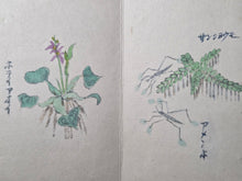 Load image into Gallery viewer, A Painting Album of Watercolor Botany and Animals, Circa 1900-1950. Ten Pages of Watercolor Paintings, and Four Pages of Calligraphy