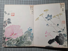 Load image into Gallery viewer, Kenno Kakishasei-cho (Sketches of Flowers by Kenno), Circa 1880-1920. 24 Beautiful Watercolor Paintings of Flowers in a Southern School Style