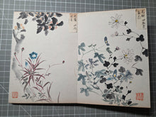 Load image into Gallery viewer, Kenno Kakishasei-cho (Sketches of Flowers by Kenno), Circa 1880-1920. 24 Beautiful Watercolor Paintings of Flowers in a Southern School Style
