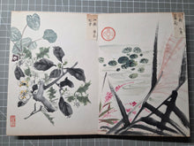 Load image into Gallery viewer, Kenno Kakishasei-cho (Sketches of Flowers by Kenno), Circa 1880-1920. 24 Beautiful Watercolor Paintings of Flowers in a Southern School Style