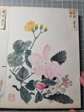 Load image into Gallery viewer, Kenno Kakishasei-cho (Sketches of Flowers by Kenno), Circa 1880-1920. 24 Beautiful Watercolor Paintings of Flowers in a Southern School Style