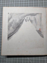 Load image into Gallery viewer, A Late Edo to Early Meiji Period Painting Album, Circa 1870-1900. 44 Pages of Ink Wash Paintings and 3 Pages of Calligraphy