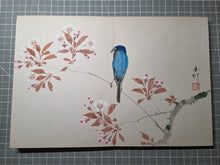 Load image into Gallery viewer, Hiikkabokurin (Brush Blossoms and Ink Woods), Circa 1900-1940. Painting Album of Animals, Landscapes, and Objects, Twelve Double Paged Paintings