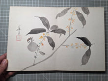 Load image into Gallery viewer, Hiikkabokurin (Brush Blossoms and Ink Woods), Circa 1900-1940. Painting Album of Animals, Landscapes, and Objects, Twelve Double Paged Paintings