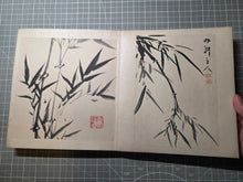 Load image into Gallery viewer, A Compiled Painting and Calligraphy Album of Different Artists, Circa 1840-1900. 46 Beautiful Paintings (34 Full Page) in Various Styles, and 3 Pages of Calligraphy
