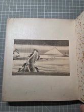 Load image into Gallery viewer, A Compiled Painting and Calligraphy Album of Different Artists, Circa 1840-1900. 46 Beautiful Paintings (34 Full Page) in Various Styles, and 3 Pages of Calligraphy