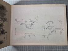 Load image into Gallery viewer, Nara-Gaki (Pictures of Nara's Landmarks), Circa 1880-1920. Ten Ink Wash Paintings of Beautiful Landscapes and Temples, and Two Paintings of Deer and Shrine Maidens