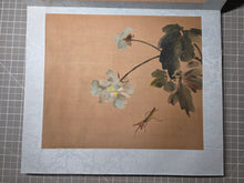 Load image into Gallery viewer, Zhōuzhīmiǎn Huāhuì Cǎo Chóng Cè (Zhou Zhimian's Book of Flowers, Plants and Insects), Circa 1870-1920. A Chinese Painting Album with Eight Beautiful Silk Paintings of Floral Compositions and Various Insects, Ink Wash and Color