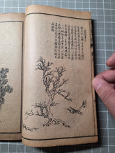 Load image into Gallery viewer, Jieziyuan Huapu (The Mustard Seed Garden Manual of Painting), 1915. A Near Complete Set of All Four Series, in 15 of 16 Volumes. Hundreds of Beautifully Detailed Woodblock Illustrations, Numerous Full-Page Landscapes and Figures