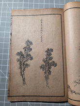 Load image into Gallery viewer, Jieziyuan Huapu (The Mustard Seed Garden Manual of Painting), 1915. A Near Complete Set of All Four Series, in 15 of 16 Volumes. Hundreds of Beautifully Detailed Woodblock Illustrations, Numerous Full-Page Landscapes and Figures