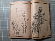 Load image into Gallery viewer, Jieziyuan Huapu (The Mustard Seed Garden Manual of Painting), 1915. A Near Complete Set of All Four Series, in 15 of 16 Volumes. Hundreds of Beautifully Detailed Woodblock Illustrations, Numerous Full-Page Landscapes and Figures