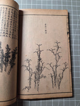 Load image into Gallery viewer, Jieziyuan Huapu (The Mustard Seed Garden Manual of Painting), 1915. A Near Complete Set of All Four Series, in 15 of 16 Volumes. Hundreds of Beautifully Detailed Woodblock Illustrations, Numerous Full-Page Landscapes and Figures