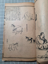 Load image into Gallery viewer, Jieziyuan Huapu (The Mustard Seed Garden Manual of Painting), 1915. A Near Complete Set of All Four Series, in 15 of 16 Volumes. Hundreds of Beautifully Detailed Woodblock Illustrations, Numerous Full-Page Landscapes and Figures