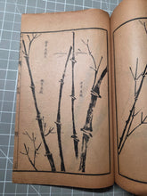 Load image into Gallery viewer, Jieziyuan Huapu (The Mustard Seed Garden Manual of Painting), 1915. A Near Complete Set of All Four Series, in 15 of 16 Volumes. Hundreds of Beautifully Detailed Woodblock Illustrations, Numerous Full-Page Landscapes and Figures