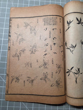 Load image into Gallery viewer, Jieziyuan Huapu (The Mustard Seed Garden Manual of Painting), 1915. A Near Complete Set of All Four Series, in 15 of 16 Volumes. Hundreds of Beautifully Detailed Woodblock Illustrations, Numerous Full-Page Landscapes and Figures