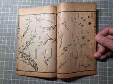 Load image into Gallery viewer, Jieziyuan Huapu (The Mustard Seed Garden Manual of Painting), 1915. A Near Complete Set of All Four Series, in 15 of 16 Volumes. Hundreds of Beautifully Detailed Woodblock Illustrations, Numerous Full-Page Landscapes and Figures