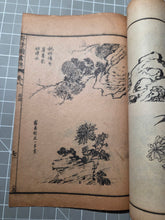 Load image into Gallery viewer, Jieziyuan Huapu (The Mustard Seed Garden Manual of Painting), 1915. A Near Complete Set of All Four Series, in 15 of 16 Volumes. Hundreds of Beautifully Detailed Woodblock Illustrations, Numerous Full-Page Landscapes and Figures