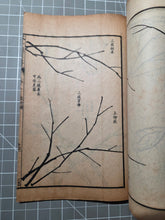 Load image into Gallery viewer, Jieziyuan Huapu (The Mustard Seed Garden Manual of Painting), 1915. A Near Complete Set of All Four Series, in 15 of 16 Volumes. Hundreds of Beautifully Detailed Woodblock Illustrations, Numerous Full-Page Landscapes and Figures