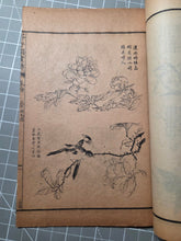 Load image into Gallery viewer, Jieziyuan Huapu (The Mustard Seed Garden Manual of Painting), 1915. A Near Complete Set of All Four Series, in 15 of 16 Volumes. Hundreds of Beautifully Detailed Woodblock Illustrations, Numerous Full-Page Landscapes and Figures