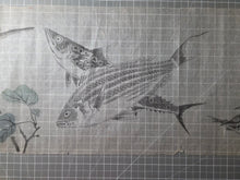 Load image into Gallery viewer, Tori to Sakana no Makimono (Birds and Fish Scroll), Circa 1820-1860. An Emakimono Handscroll of Numerous Birds and Fish Paintings, Over Four Meters in Length