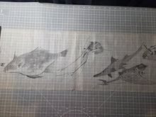 Load image into Gallery viewer, Tori to Sakana no Makimono (Birds and Fish Scroll), Circa 1820-1860. An Emakimono Handscroll of Numerous Birds and Fish Paintings, Over Four Meters in Length