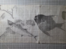 Load image into Gallery viewer, Tori to Sakana no Makimono (Birds and Fish Scroll), Circa 1820-1860. An Emakimono Handscroll of Numerous Birds and Fish Paintings, Over Four Meters in Length