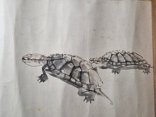 Load image into Gallery viewer, Fujii Shōrin Gakan (Fujii Shorin Painting Scroll), 1880. Emakimono with Twelve Large Sumi-E Ink Wash Paintings, of Animals and Nature Scenes, by a Student of the Maruyama-Shijo School