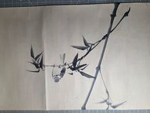 Load image into Gallery viewer, Shukajoshi-shugacho (Ms. Shoka’s Study Book), 1898. A Female Nanga Artist’s Collection of Work, with Dozens of Beautiful Ink Wash Paintings, with Some Color Examples. In Four Handscrolls
