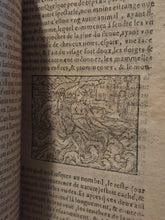 Load image into Gallery viewer, Histoires Prodigieuses Extraictes de Plusieurs Famaux Autheurs, 1595. A Rare and Fantastical Collection of Tales about Monsters, Demons, Extraordinary Events, and More, with Almost 100 Woodcuts