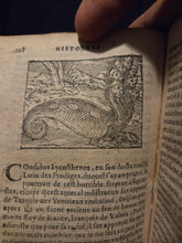Load image into Gallery viewer, Histoires Prodigieuses Extraictes de Plusieurs Famaux Autheurs, 1595. A Rare and Fantastical Collection of Tales about Monsters, Demons, Extraordinary Events, and More, with Almost 100 Woodcuts