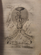 Load image into Gallery viewer, Observations Sur la Pratique des Acouchemens Naturels, Contre Nature et Monstreux, 1674. An Illustrated Medical Guide to Childbirth, With Numerous Engravings of Infants and More
