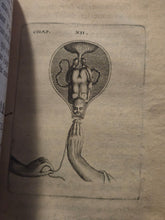 Load image into Gallery viewer, Observations Sur la Pratique des Acouchemens Naturels, Contre Nature et Monstreux, 1674. An Illustrated Medical Guide to Childbirth, With Numerous Engravings of Infants and More